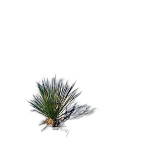 hair, tree, crown, staff transparent PNG cut-out