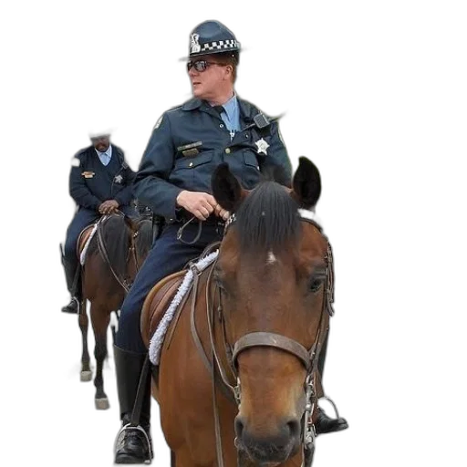 staff, animal, two, police transparent PNG cut-out