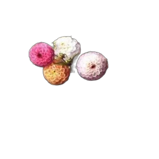 food, jewelry, crown, flower transparent PNG cut-out