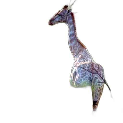 dragon, animal, staff, creature transparent PNG cut-out