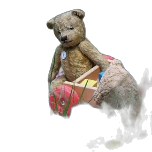 3d render, photorealistic, concept art, teddy transparent PNG cut-out