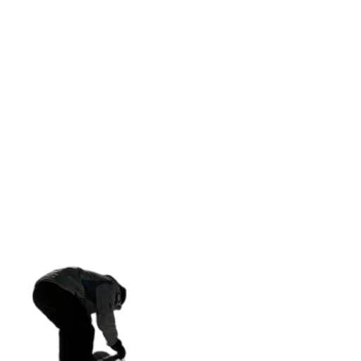 staff, hat, animal, umbrella transparent PNG cut-out