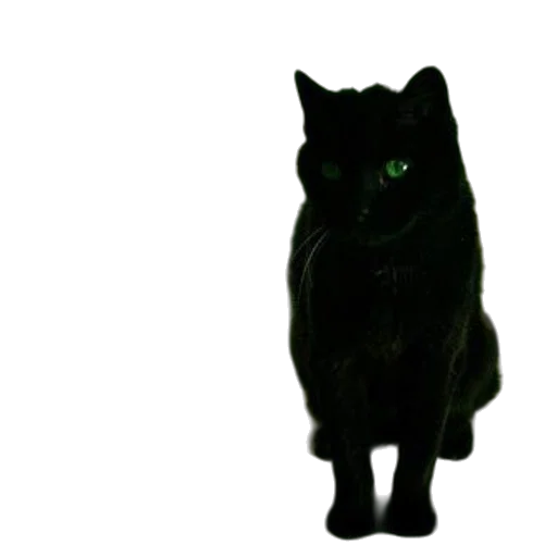 animal, staff, creature, mask transparent PNG cut-out