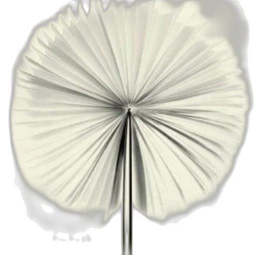 umbrella, flower, crown, staff transparent PNG cut-out