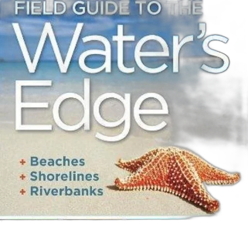 colorful, book, cover, titled transparent PNG cut-out
