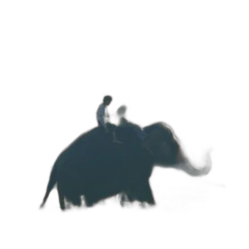 animal, dragon, creature, staff transparent PNG cut-out