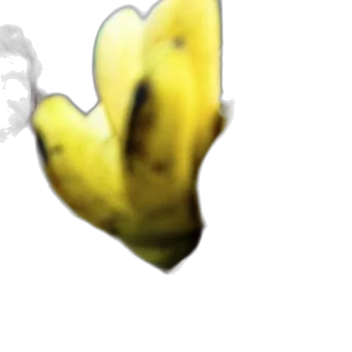 flower, face, mask, crown transparent PNG cut-out