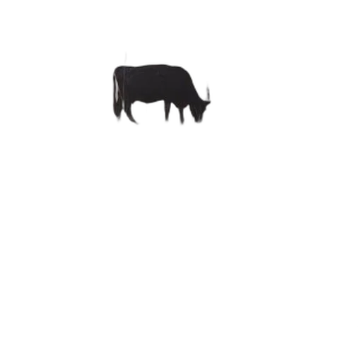 animal, creature, hair, food transparent PNG cut-out