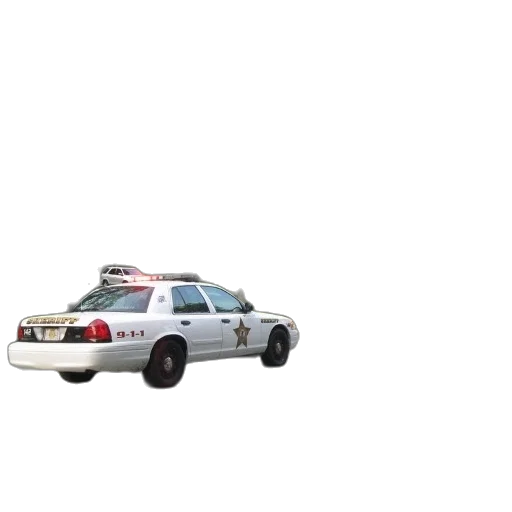 car, weapon, staff, animal transparent PNG cut-out