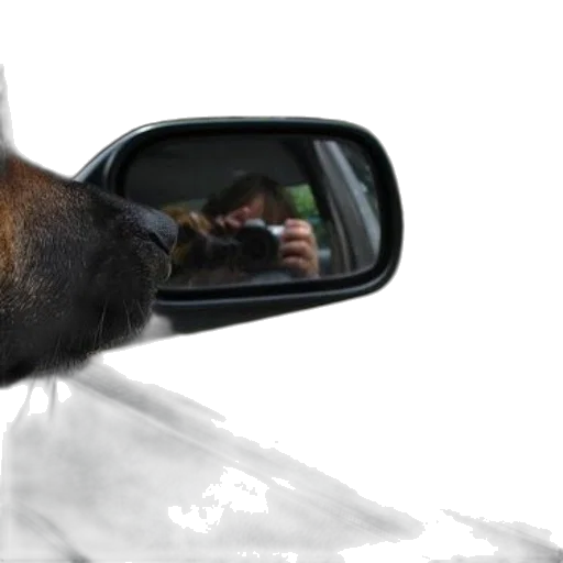 animal, car, face, creature transparent PNG cut-out