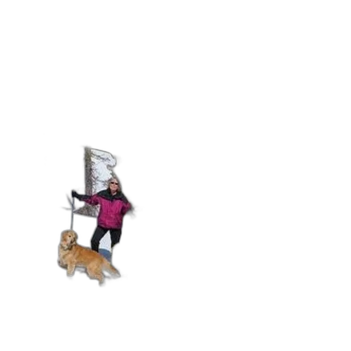 staff, animal, robot, sword transparent PNG cut-out