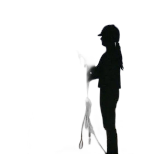 staff, sword, umbrella, weapon transparent PNG cut-out