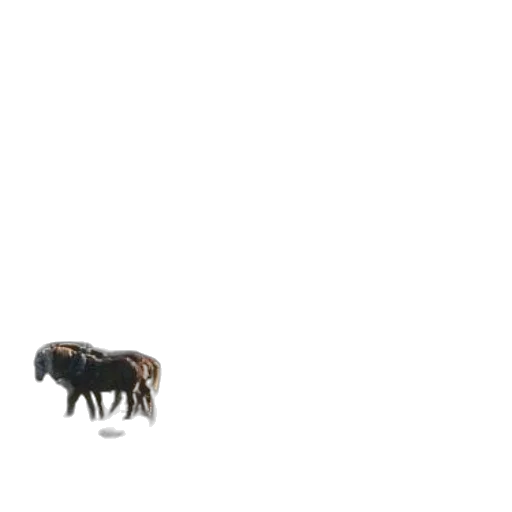 animal, creature, furniture, jewelry transparent PNG cut-out