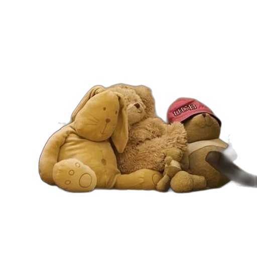 animal, hat, 3d render, cozy transparent PNG cut-out