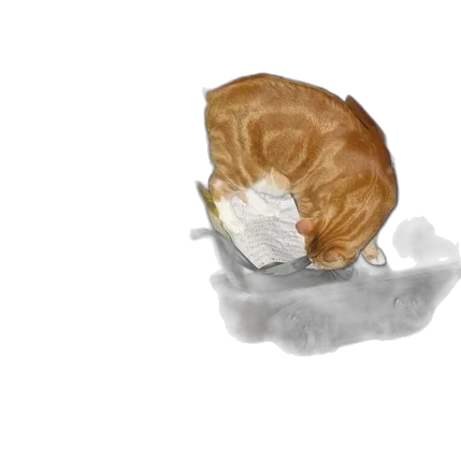 food, animal, creature, face transparent PNG cut-out