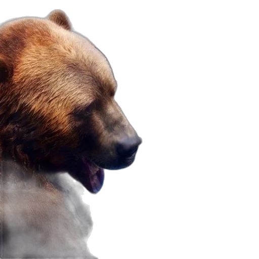 animal, photorealistic, concept art, 3d render transparent PNG cut-out