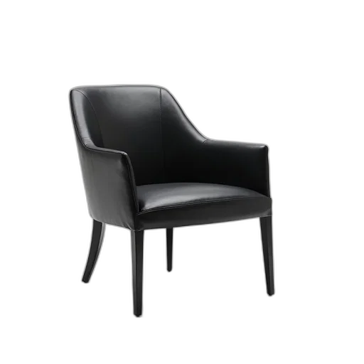 furniture, crown, 3d render, sleek transparent PNG cut-out