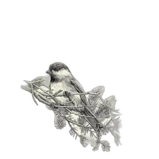animal, crown, jewelry, staff transparent PNG cut-out