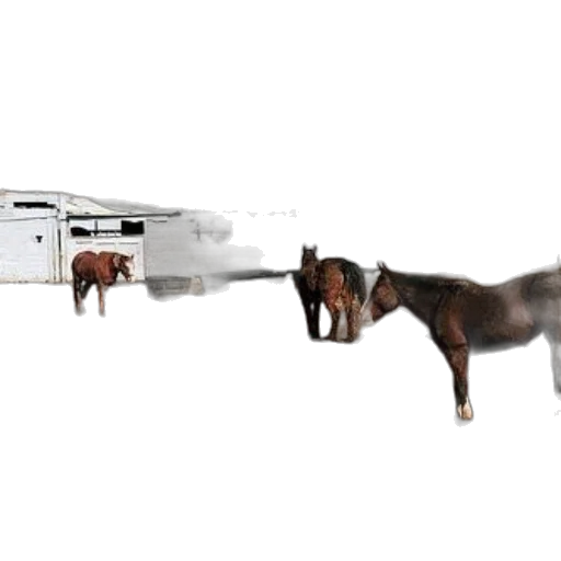 animal, weapon, robot, staff transparent PNG cut-out
