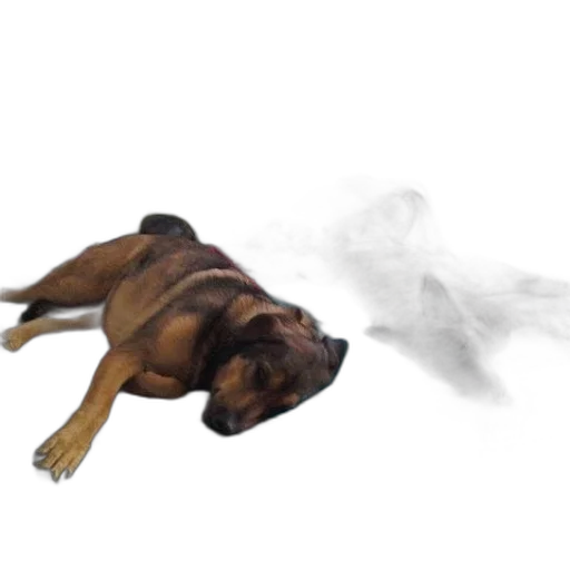 animal, dragon, creature, weapon transparent PNG cut-out