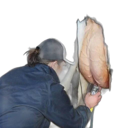 food, jacket, hat, animal transparent PNG cut-out