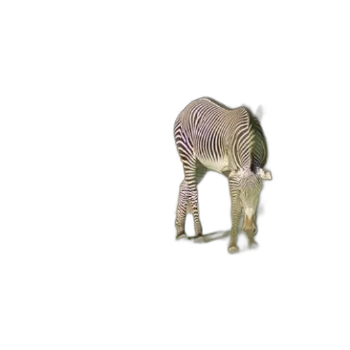 animal, creature, robot, furniture transparent PNG cut-out