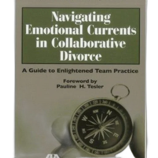 cover, navigating, emotional, currents transparent PNG cut-out