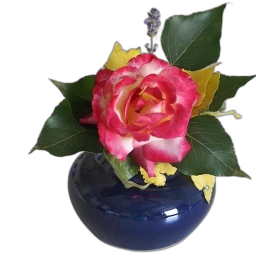 crown, flower, jewelry, 3d render transparent PNG cut-out