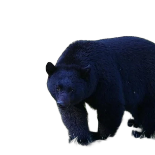 animal, creature, staff, face transparent PNG cut-out