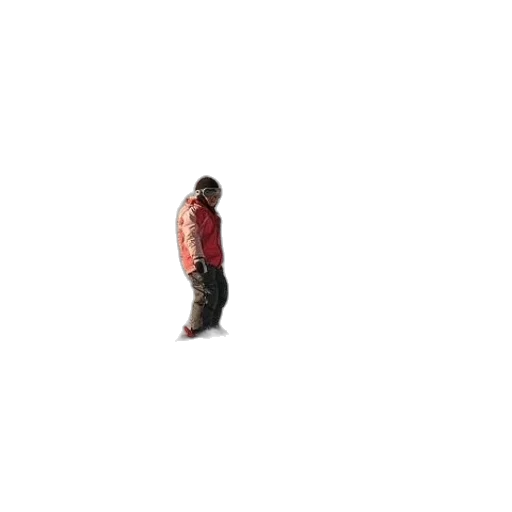 jacket, robot, animal, staff transparent PNG cut-out