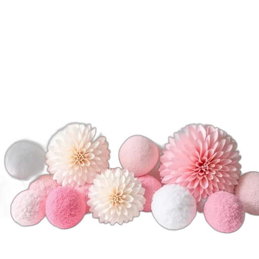 jewelry, food, crown, flower transparent PNG cut-out