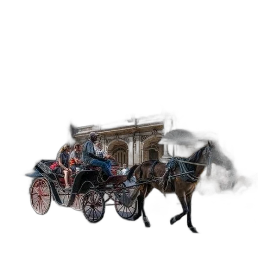 car, furniture, staff, animal transparent PNG cut-out
