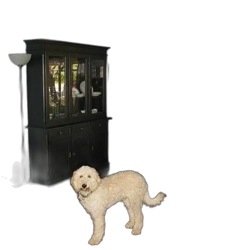 furniture, animal, 3d render, photorealistic transparent PNG cut-out
