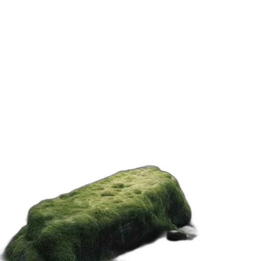 animal, creature, tree, hair transparent PNG cut-out