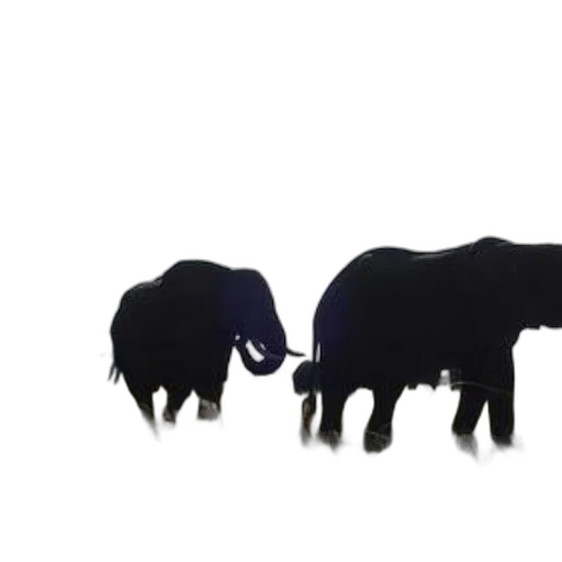 animal, 3d render, concept art, elephants transparent PNG cut-out