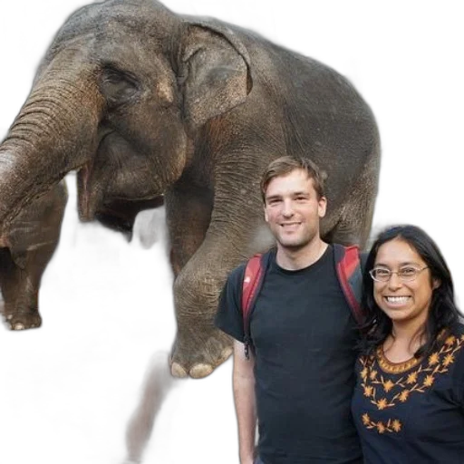 staff, animal, creature, man transparent PNG cut-out