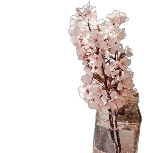 flower, jewelry, crown, bottle transparent PNG cut-out