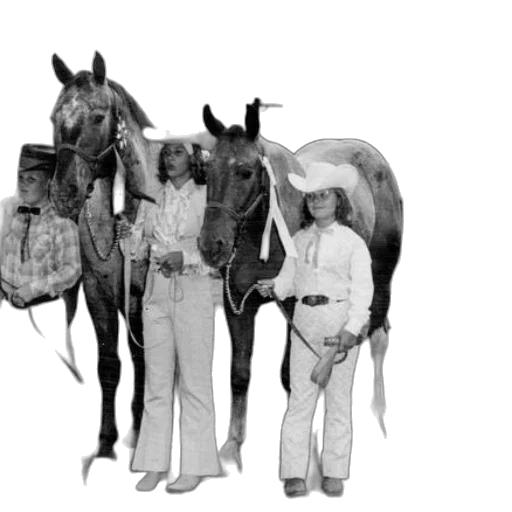 staff, animal, hat, four transparent PNG cut-out