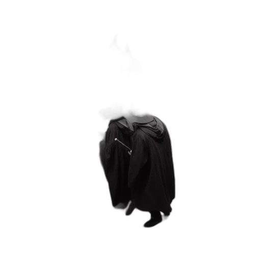 jacket, dress, umbrella, staff transparent PNG cut-out