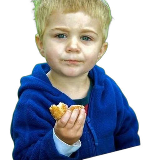 food, face, creature, animal transparent PNG cut-out