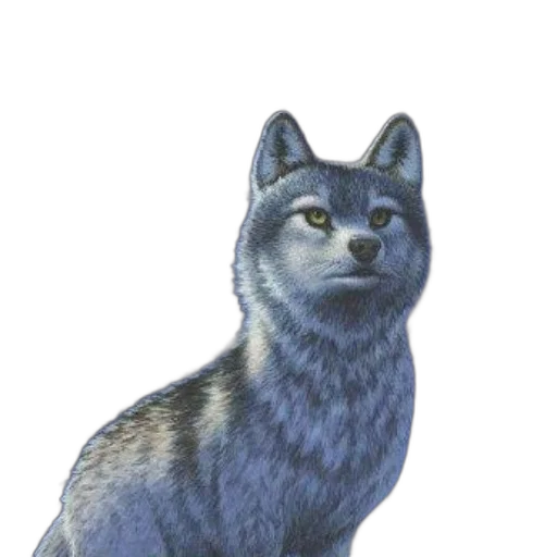 animal, creature, staff, face transparent PNG cut-out