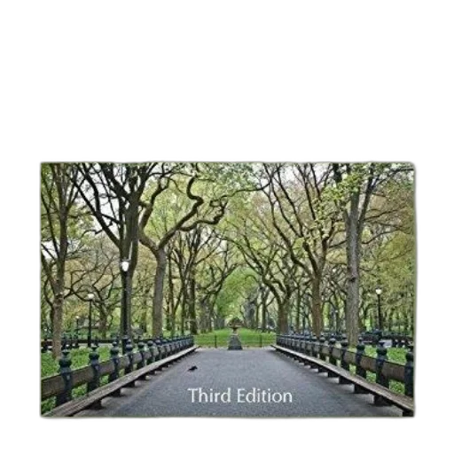 tree, photorealistic, city street, forest transparent PNG cut-out