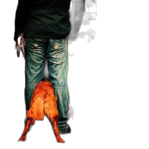 animal, creature, mask, jacket transparent PNG cut-out