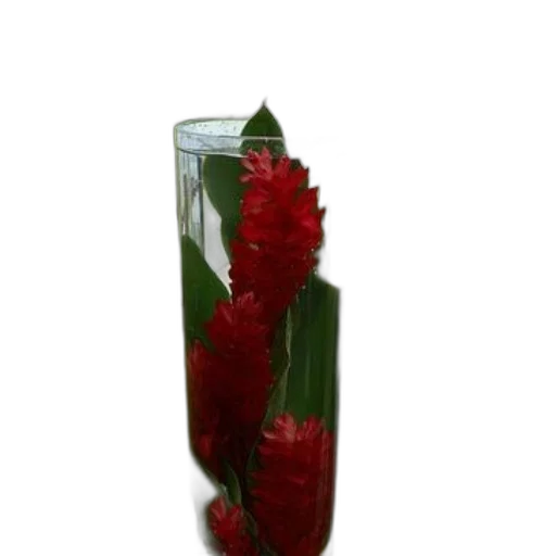 bottle, flower, crown, jewelry transparent PNG cut-out