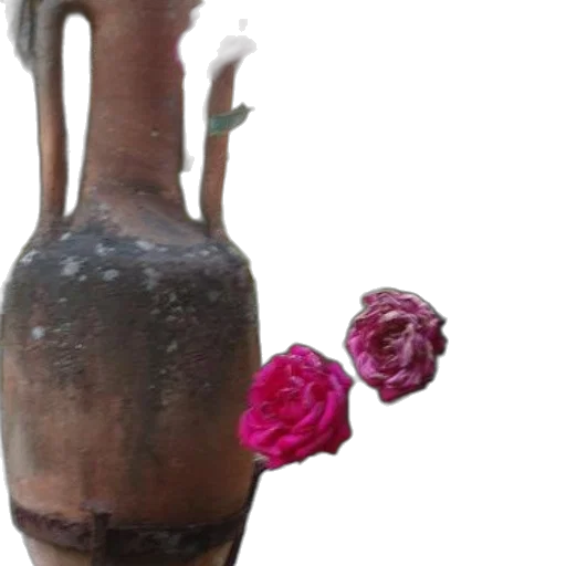 bottle, flower, crown, dress transparent PNG cut-out