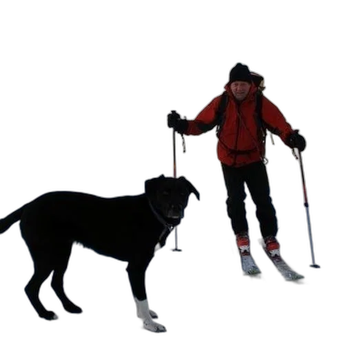 animal, staff, creature, 3d render transparent PNG cut-out