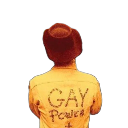 jacket, hair, hat, staff transparent PNG cut-out