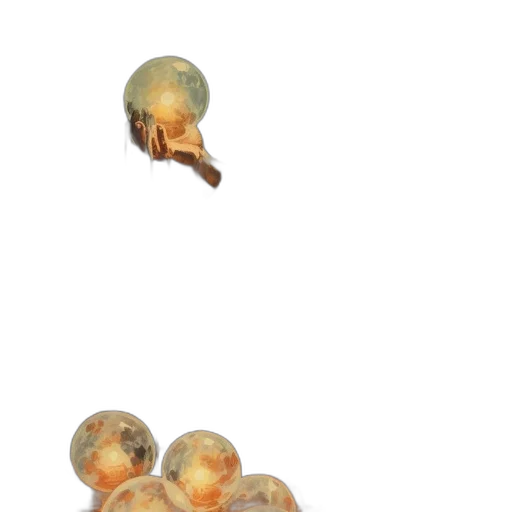 food, hair, jewelry, creature transparent PNG cut-out