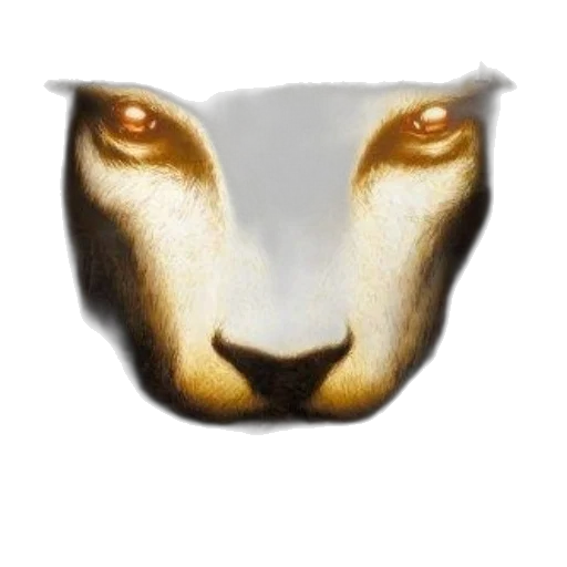 mask, animal, jewelry, hat transparent PNG cut-out