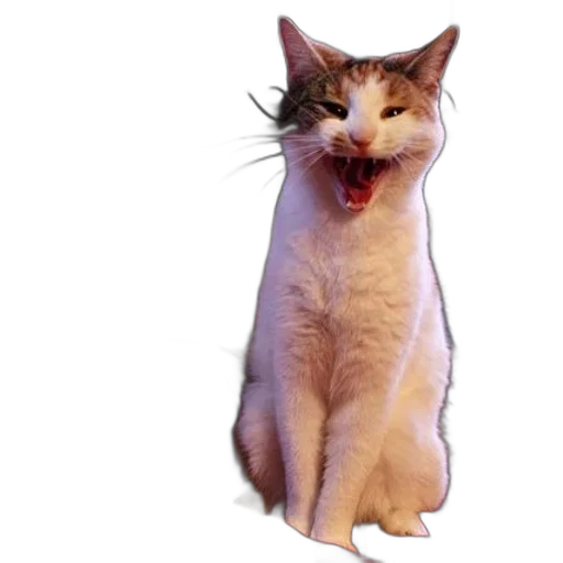 animal, staff, creature, face transparent PNG cut-out